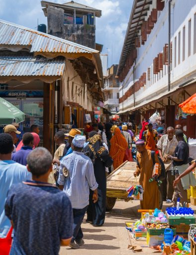 Zanzibar Tours and Safaris